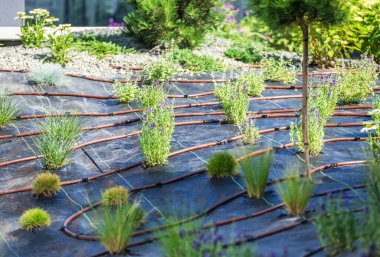 Özenle tasarlanmış bir bahçe, suyun korunması ve sağlıklı büyümeyi teşvik eden verimli bir damlama sulama sistemi tarafından desteklenen çeşitli bitkilere ev sahipliği yapar..