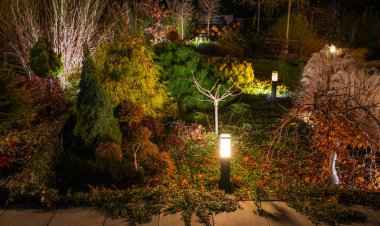 Bahçe, yumuşak ışıklandırmayla parlıyor, çeşitli yapraklar ve ağaçlar sergileniyor, gece sakin bir atmosfer yaratıyor..