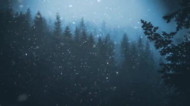 Karanlık bir ormana yumuşak kar taneleri düşer, uzun ağaçları örterek. Göksel mavi ışık, sakin ve huzurlu bir kış atmosferini çağrıştıran sakin bir parıltı yayar..