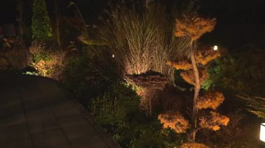 Bu bahçe, sıcak ışıklarla güçlendirilmiş ve akşam rahatlığı ve doğanın keyfi için mükemmel sakin bir atmosfer yaratan çarpıcı bir bitki yelpazesine sahiptir..