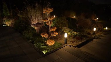 Güzelce döşenmiş bir bahçe, eşsiz bitkiler ve özellikleri ön plana çıkaran yumuşak ışıklandırmayla aydınlatılır. Huzurlu atmosfer gece huzurlu bir geri çekilme yaratır..