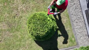 Bir bahçıvan, berrak mavi gökyüzünün altında yemyeşil bir bahçede yuvarlak bir çiti ustalıkla buduyor. Yaprakları dikkatlice şekillendirirken güneş gölgeler bırakıyor. Bu da araziye olan bağlılığını gösteriyor..