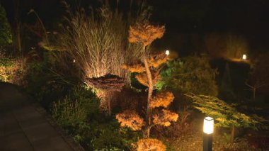 Yumuşak LED ışıklandırma, çeşitli bitki ve ağaçların huzurlu bir atmosfer yarattığı bir bahçenin gece sükunetini ön plana çıkarıyor. Fenerlerin parıltısı manzaranın güzelliğini arttırır. Yıldızların altındaki rahatlama ve yansımayı davet eder..