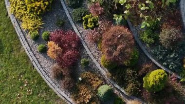 Titizlikle tasarlanmış bir bahçede canlı renklere ve çeşitli bitki yaşamına tanık olun. Genel bakış açısı, sonbahar mevsiminde huzurlu bir açık hava alanı yaratan çalıların, ağaçların ve dekorasyonların eşsiz düzenini vurgular..