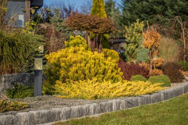 Bu canlı bahçe yeşil, sarı ve kırmızının değişik tonlarında bitkiler sergiliyor. Düzenli olarak düzenlenmiş çalılıklar taş kenarları tamamlar, güneşli havada sakin bir açık hava alanı yaratır..