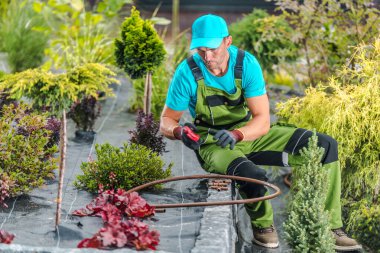 Mavi şapkalı ve yeşil tulumlu bir bahçıvan çocuk odasında çeşitli bitkilerle titizlikle ilgilenir. Parlak bir günde canlı yapraklara dikkat etmek için aletler kullanır..