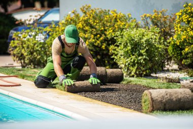 Bir peyzajcı güneşli bir öğleden sonra bahçesinde iyi korunan bir yüzme havuzunun yanına çimenleri dikkatlice yerleştiriyor. Çevrede yemyeşil bitkiler var..