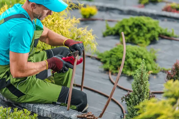 Parlak giyinmiş, kendini işine adamış bir bahçıvan, bitkileri dikkatlice buduyor ve açık bir gökyüzünün altında yeşillikle dolu güzel bir açık hava ortamında doğa elementlerini ayarlıyor..