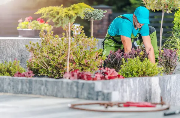 Yeşil tulumlu ve mavi şapkalı bir bahçıvan bakımlı bir bahçede renkli bitkilerle dikkatlice ilgileniyor. Ayar, parlak güneş ışığı altında taş kenarları ve çeşitli çiçek açan türleri içeriyor..