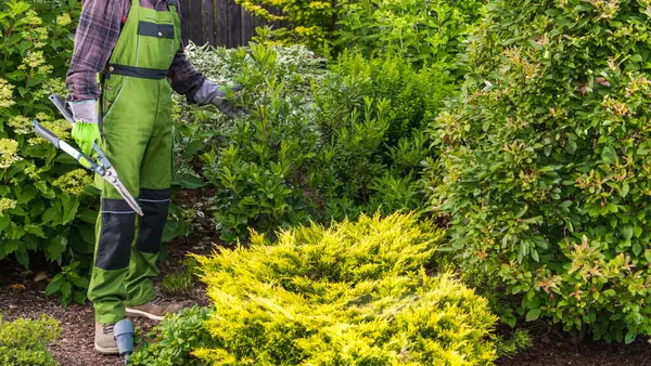 Bahçıvanlardan biri baharda güneşli bir günde çeşitli bitkiler ve renkli yapraklarla dolu iyi korunmuş bir bahçede çalıları buduyor..