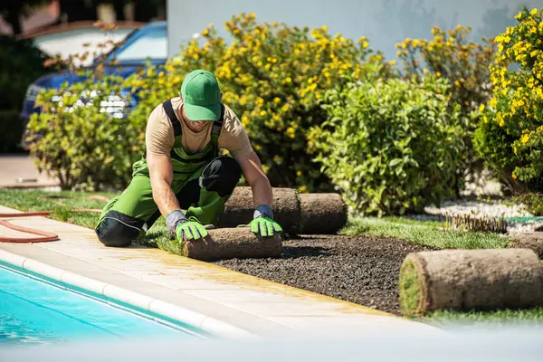 Bir peyzajcı güneşli bir öğleden sonra bahçesinde iyi korunan bir yüzme havuzunun yanına çimenleri dikkatlice yerleştiriyor. Çevrede yemyeşil bitkiler var..