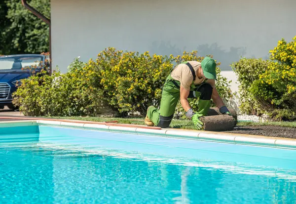 Bir peyzaj işçisi çimenleri dikkatlice yüzme havuzunun yanına yerleştiriyor, bahçenin estetiğini geliştiriyor. Bereketli yeşillik, yazın özünü yakalıyor..