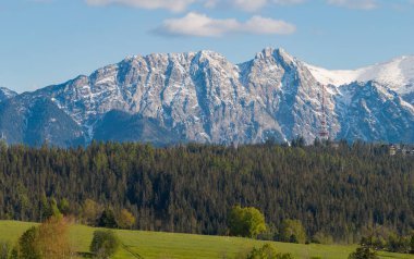 Görkemli karla kaplı Giewont Dağı kulesi berrak mavi gökyüzünün altındaki canlı bir ormanın üzerinde, dağlık bölgede ilkbaharın güzelliğini yakalıyor..