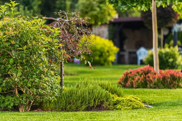 Bereketli bir bahçe, çalılar ve küçük ağaçlar da dahil olmak üzere çeşitli bitkilere ev sahipliği yapar ve sakin bir vaha oluşturur..