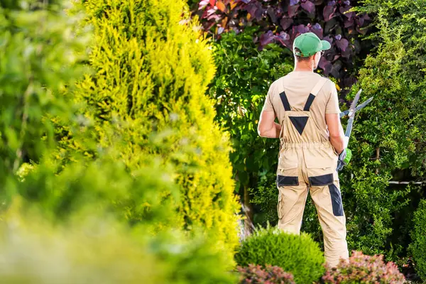 Bej rengi tulumlu bir bahçıvan yeşil çitlerin üzerinde canlı yeşilliklerle kaplı budama makası kullanır. Parlak güneş, sakin bahçe atmosferini vurgular..