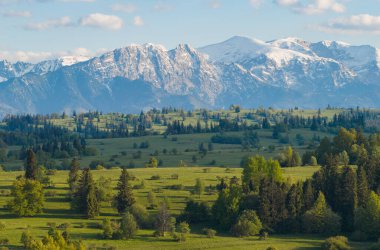 Karla kaplı Tatra tepeleri, ağaçlarla benekli canlı yeşil çayırlar üzerinde, dağlarda güneşli bir bahar gününün sükunetini yakalıyor..