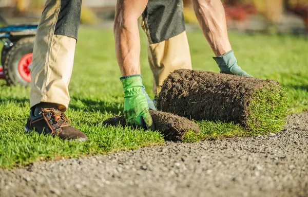Eldivenli ve botlu iki işçi çimlere çimenleri dikkatlice sererek açık gökyüzünün altındaki yerleşim alanını güzelleştiriyor..