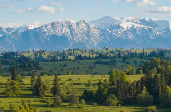 Karla kaplı Tatra tepeleri, ağaçlarla benekli canlı yeşil çayırlar üzerinde, dağlarda güneşli bir bahar gününün sükunetini yakalıyor..