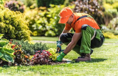 Turuncu ve yeşil giyinmiş bir bahçıvan, güneşli bir öğleden sonra yeşillikle dolu canlı bir bahçede çiçekleri dikkatlice buduyor..