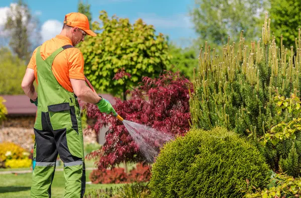 Canlı giyinmiş bir bahçıvan renkli bir bahçeye bitkiler püskürtüyor. Çeşitli yeşil çalılar ve ağaçlar güneşli bir günde güzel bir zemin oluşturur..