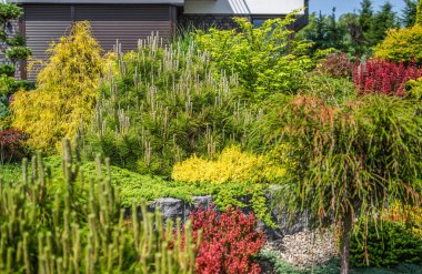 Güzel manzaralı bir bahçe, güneşli bir günde çeşitli renkli bitkiler ve yapraklar sergiliyor ve canlı bir atmosfer yaratıyor..