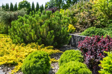 Bereketli yeşillik, katmanlı çalılar ve açık gökyüzü altında canlı yapraklar içeren güzel düzenlenmiş bir bahçe doğanın ahenkli renklerini renklendiriyor..