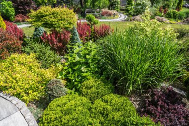 Renkli bitkiler ve yemyeşil yeşil sakin bir bahçe ortamı yaratır. Manzara çeşitli zıt doku ve şekillere sahiptir, rahatlamayı ve keşifleri davet eder..