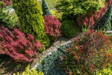 Bereketli bir bahçede çeşitli renkli çalılar, her zaman yeşil ağaçlar ve parlak güneş ışığı altında çakıl yolları bulunur. Bitkiler tamamen çiçek açmış, dingin bir ortam yaratıyorlar..