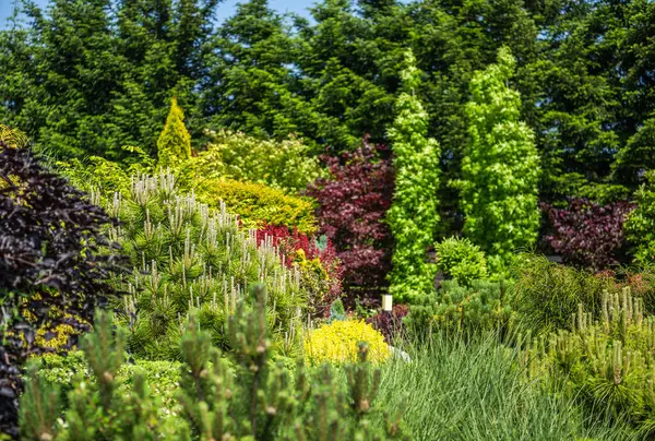 Canlı bir botanik bahçesinde farklı renk ve dokularda çeşitli bitki ve ağaçlar sergileniyor. Yeşillik boşluğu doldurur, bereketli, davetkar bir atmosfer yaratır..