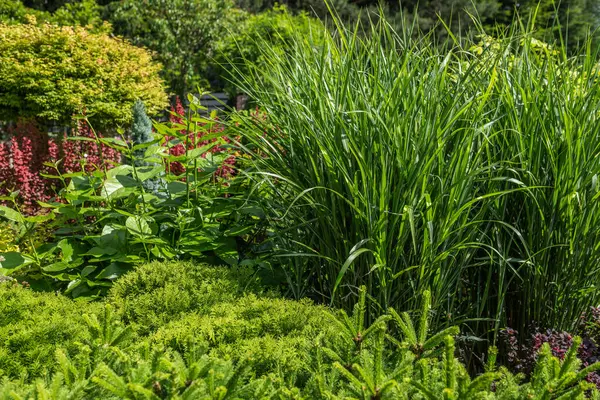 Yüksek otların, canlı yeşil çalıların ve gün ortasında renkli çiçekli bitkilerin karışımının sergilendiği yemyeşil bahçe doğanın güzelliğini ve çeşitliliğini gözler önüne seriyor..