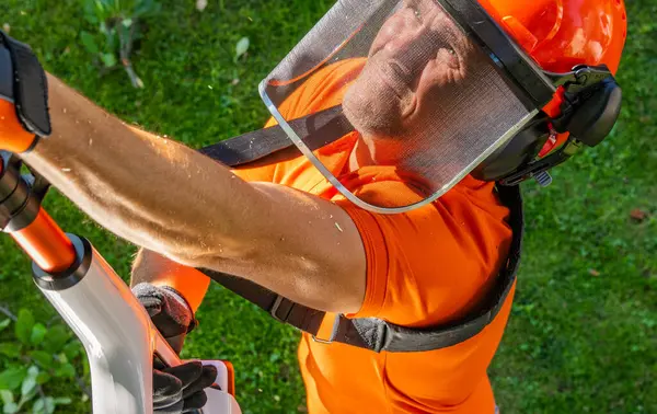 Parlak turuncu kıyafetli bir insan, güneşli bir günde yemyeşil bir bahçede dalları budamak için bir direk testeresini dikkatlice kullanır..