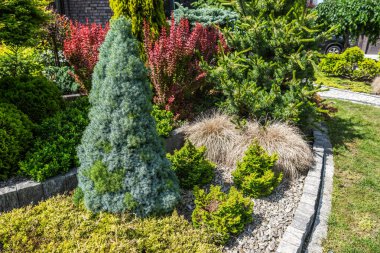 Canlı bahçe sahneleri çeşitli çalılar ve ağaçlar sergiliyor açık mavi gökyüzünün altında gün ışığında kayalar ve patikalarla düzenli olarak düzenlenmiş..