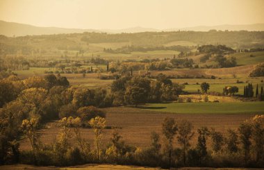 Titrek Toskana sonbahar yaprakları, güneş sakin kırsal bölgede batarken kayan tepelerle çelişiyor ve doğanın güzelliğinin resimsel bir görüntüsünü yaratıyor..