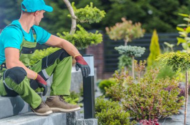 Renkli iş kıyafetleri içinde bir bahçıvan bir sonraki peyzaj görevi için ilham alarak, çeşitli bitkiler ve çalıları gözlemlemek için basamaklara mola verir..