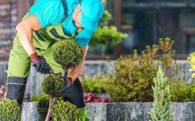 Mavi gömlekli bir bahçıvan ve yeşil tulumlu bir bahçıvan iyi bakımlı yeşillik ve renkli çiçeklerle dolu bir bahçedeki çalı bitkisini dikkatlice buduyor..
