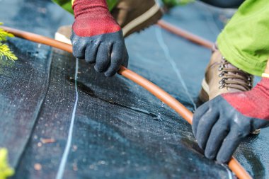 Bir bahçıvan bitkilerin düzgün sulanmasını sağlamak için bahçe kumaşının üzerine dikkatlice sulama boruları yerleştirir. Bu görev aydınlık ve neşeli bir sabah atmosferinde gerçekleşir..