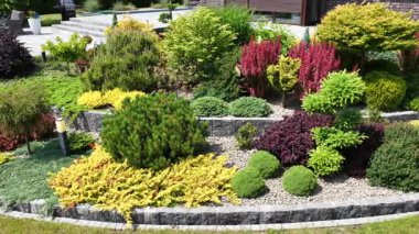 Parlak bitkilerle dolu göz kamaştırıcı bir bahçe keşfetmek ve bakımlı bir peyzaj, güneşli bir günde güzel tasarımlar ve doğal güzellikler sergilemek..