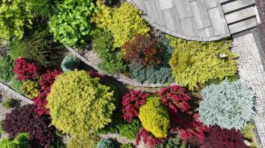 Renkli bitkilerin, karmaşık taş yolların ve bereketli yeşilliklerin bulunduğu güzel tasarlanmış bir bahçe keşfedin..