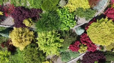 Hava görüntüsü, doğanın güzelliğini vurgulayan göz alıcı bir desen içinde çalılar ve zemin örtüleri de bulunan renkli bitkilerle çarpıcı bir bahçe ortaya çıkarıyor..