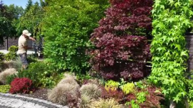 Bahçıvan, güneşli bir günde güzel manikürlü bir manzarada renkli çiçek tarlalarını budayarak mevsimlik bitki bakımı tekniklerini sergiliyor..