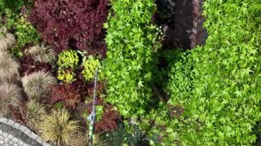 Parlak güneş ışığında yeşil yaprakların ve canlı çiçeklerin karışımının sergilendiği ve barışçıl bir açık hava atmosferi yaratan yeşeren bir bahçe keşfedin..