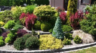 Çeşitli bitkilerin, renkli çalıların ve yapılandırılmış peyzajların bulunduğu davetkar bir bahçe keşfedin. Hayat dolu sakin bir açık hava alanı yaratın..