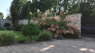 Canlı bir bahçe, güneşli bir günde renkli çiçekler ve titizlikle düzenlenmiş bitkiler sergiler. Rahatlamak ve keyif almak için sakin bir atmosfer sağlar..