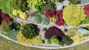 Parlak renklere ve eşsiz şekillere sahip çeşitli bitki ve çalıların bulunduğu güzel bir bahçe keşfedin. Dış tasarım alanındaki yaratıcılığı vurguluyor.