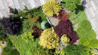 Gün ışığında çeşitli bitki, taş ve dokulardan oluşan canlı bir bahçe. Mizanpaj renkli yaprakları ve titiz tasarımı sergiliyor..