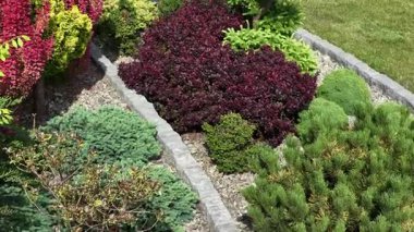 Bu konumda çeşitli bitkiler ve renkli yapraklar sergilenen, doğa meraklıları ve bahçe aşıkları için mükemmel düzenlenmiş güzel bir bahçe var..