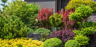 Berrak mavi gökyüzünün altında iyi korunmuş bir bahçede çeşitli desenler ve yeşillik gölgeleri sergilenen renkli bitki ve çalılar..