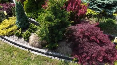 Bu yemyeşil ve renkli yapraklar da dahil olmak üzere bir dizi bitki, açık havada huzurlu bir geri çekilme yaratıyor. Doğa meraklıları için mükemmel..