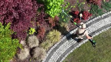 Bir bahçıvan açık bir günde açık bir bahçede canlı bitkileri ve çalıları korumak için bir direk budama makinesi kullanır. Detaylara dikkat edin..