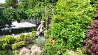Güzel bir bahçede, bir bahçıvan verimli yeşilliklerle çevrili açık güneşli bir günde profesyonel aletler kullanarak aşırı gelişmiş çalıları dikkatlice buduyor..